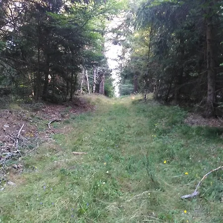 Les Sources Du Chassezac Saint-Chaptes